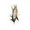 Рамки для фотографий от Antler Design