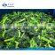 Sinocharm New Season BRC A Approved 30-50mm IQF Cut Spinach Frozen Spinach