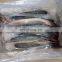 IQF Whole Round Frozen Catfish fish