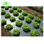 Agriculture and gardening use plastic black mulch film