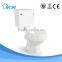 China bathroom washdown economic two-piece toilet bowl accessories