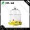 decorative Cake glass dessert dome with base