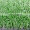 Gymnasium use synthetic grass