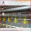 Supply or Design Wholesale Chicken Feeder Steel Structure Broiler Farm Chicken House