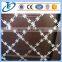 Welded Razor Barbed Wire Square Mesh Fence