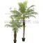 2015 indoor or outdoor natural touch artificial 1-3.5m phoenix palm tree with synthetic trunks manufactory