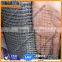 China Supplier 1/2 inch electro galvanized square wire mesh for building( 25 years experience)