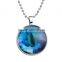 DIY Handmade Jewelry-- Art Picture Blue Cat Eye photo glass dome pendant necklace Necklace Pendant