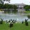 2016 new designed selling artificial topiary animal for garden landscaping with competitive price