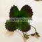 Real look plastic plant artificial leaves for plant wall decor with wholesale price