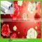 promotion sale 150G suprise solvent pp synthetic paper for muton,mimaki,