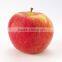 supply new crop fresh fuji apple with best price