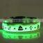 LED dog collar