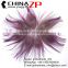 Leading Supplier CHINAZP Wholesale High Quality Dyed Purple Trimmed Short Peacock Feathers for Earrings