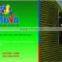 Mortar Tile Adhesive MTA