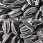 sunflower seeds 5009