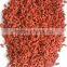 wholesale goji berry from ninxia,China