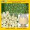 GMP Factory Supply Natural Lotus Seed Extract Powder
