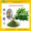 GMP Factory Supply High Quality Sodium Copper Chlorophyll Powder