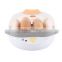 CE approved electric baby food steamer egg cooker