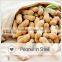 Chinese high quality good price red skin raw peanut in shell