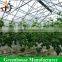 Portable hobbie greenhouse with hydroponic growing systems