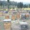 hot sale customized two levels beehive
