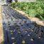 Plastic Agricultural Perforated Film With Holes for Seeding Growth
