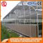 2017 grow tent plastic greenhouse for vegetable plant made in China