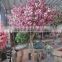 SJ1501040 Indoor cherry blossom flower tree for Home Decoration