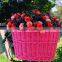 High Quality Cheap Wicker Bike Basket &purple Girl Bike Basket