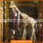 Animal fiberglass life size giraffe statue for retail window