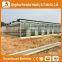 Heracles trade assurance greenhouse equipment- venlo type glass panels greenhouse for sale