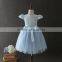 High quality OEM Princess Blue Short sleeves Embroidery Flower girls party dresses Lovely Fluffy Tulle baby Communion dresses