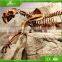 Amusement play dinosaur skeleton statue for hot selling