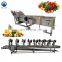 fruit cleaning machine fruit and vegetable washing line