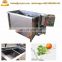 Leafy , Rhizomes vegetables processing line / commercial vegetable washing machinery
