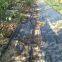 Garlic and onion PP woven weed control mat,plastic ground cover black weed kill fabric,100gsm anti grass gardening mat