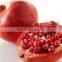 Fine grade Pomegranate dried seeds exporters
