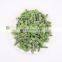 Sinocharm 2021 New Crop Top Grade IQF 2-4cm  Frozen Green Beans Cut high quality