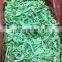 High Quality Fresh IQF Green Pepper Strips Frozen Green Pepper
