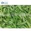ISO and BRC Approved Factory of IQF Frozen Sweet Sugar Snap Pea