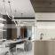 Modern Art Decorative Indoor Pendant Light for Living Room Iron and Acrylic LED Chandelier Lamp