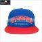 Two Color One Embroidery Snapback Cap Cheap