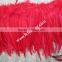 Rooster Tail Feather Exotic Feathers For Hat Decoration