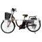 Cheap Green Power Motorized Bicycle