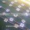 Programmable smd5050 digital led module IP65