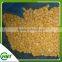 Frozen Iqf Sweet Corn Kernel In China