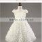 New model wholesale girls white lace applique princess frocks kids party dresses TR-WS35