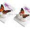 Butterfly Shape Plastic Magnetic Clip for Name Card And Note